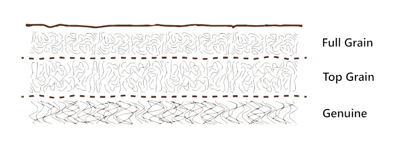 Natural leather cross section. The image shows three layers (starting from the outer one): Top Grain, Full Grain, Genuine Leather.